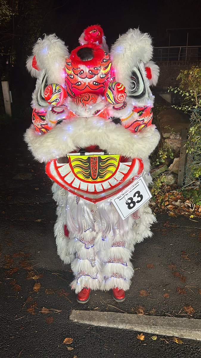 🥇🏆 <a href="/smcarnival/">Shepton Mallet Carnival</a> bring on <a href="/CarnivalWells/">Wells Carnival</a> see you Friday