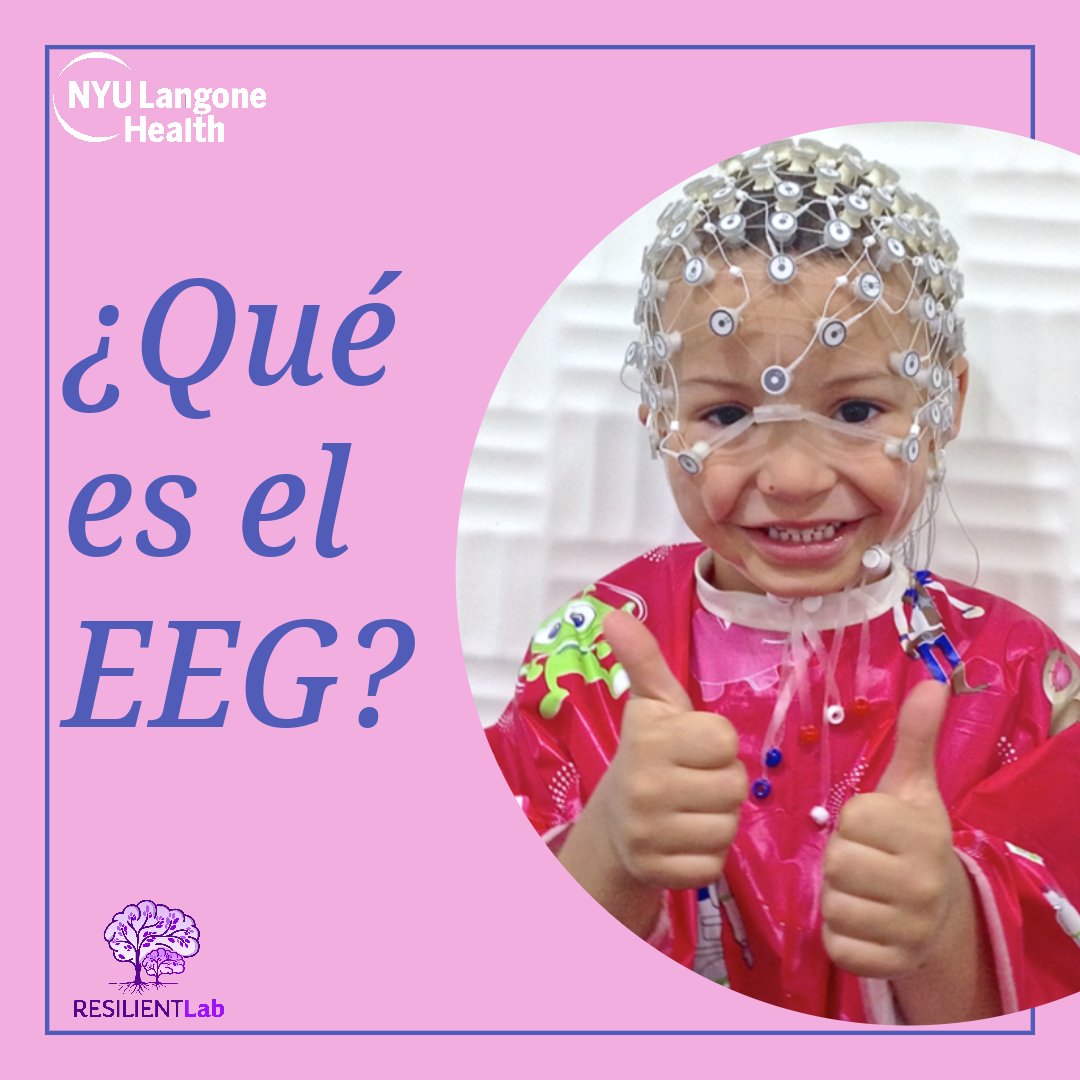 RESILIENT Lab | @shuffreylab.bksy.social tweet media