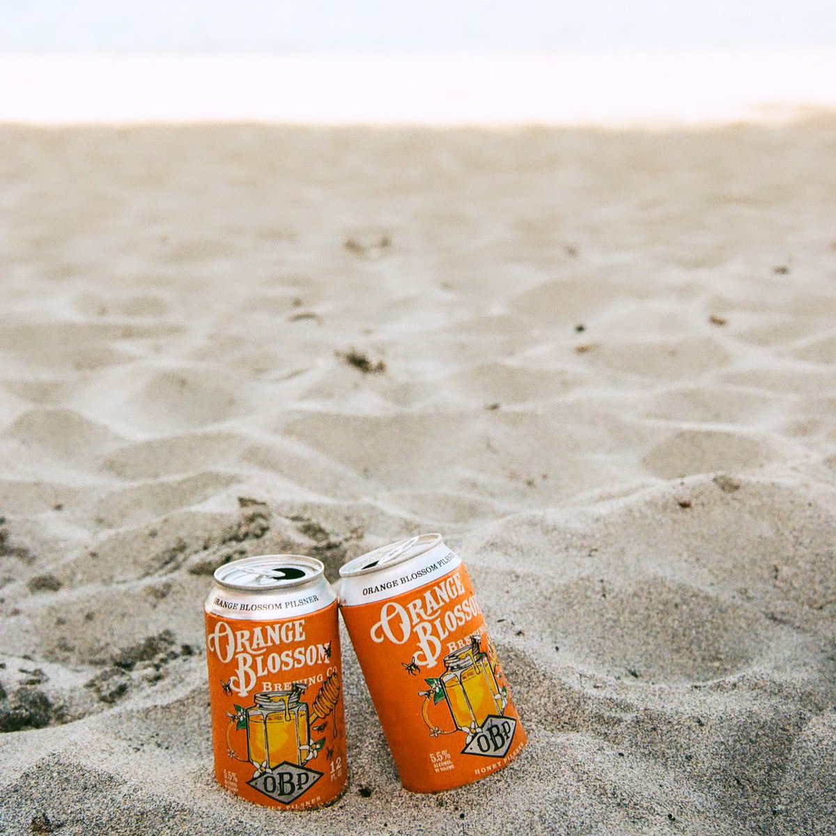 OBPBuzz's tweet photo. Sometimes, an OBP, the ocean and a little quiet time is all you need. 😁🍻🧡
.
📷 IG:@travis_foels 
#orangeblossombrewing #orangeblossompilsner https://t.co/rJqUdEmeTS