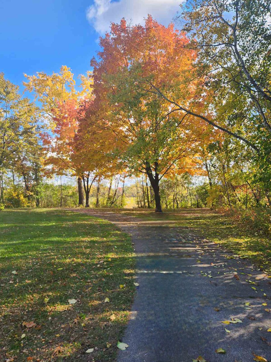 The beauty of seasons, Fall! 🧡💛
