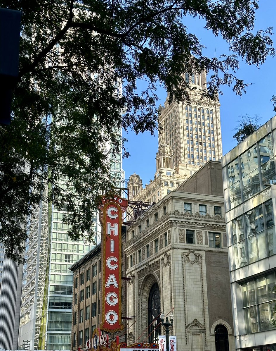 Emma Collins tweet media