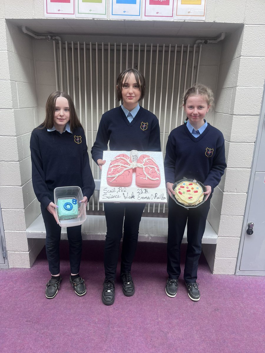 ScoilPolScience tweet media