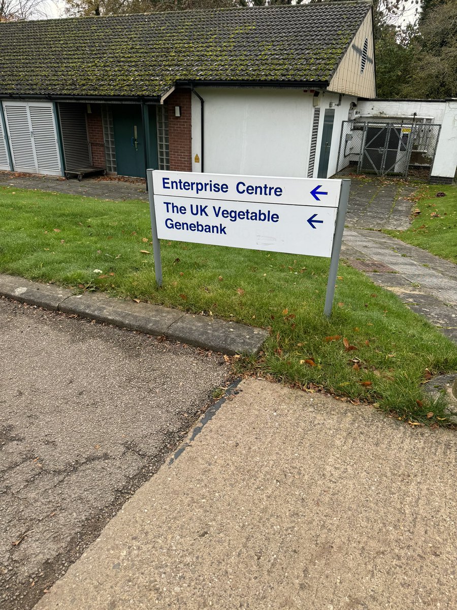 Prof. Philippe Wilson 💙 😷 tweet media