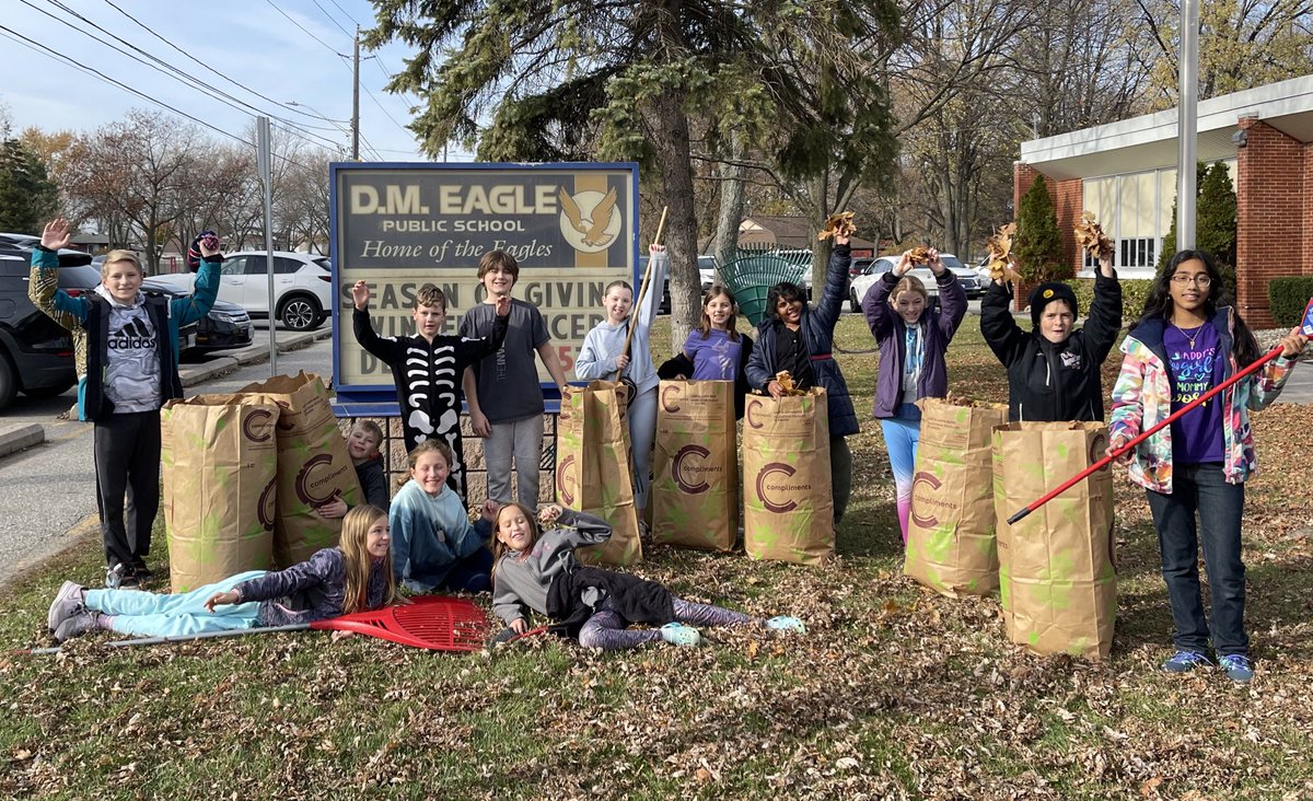 5 Awesome tweet media