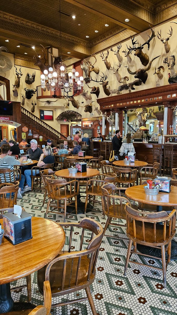 RideRedSA's tweet photo. Our stop 10 is at the The Buckhorn Saloon and Museum and Texas Ranger Museum on Houston Street.  It originally opened in 1881 and the owner began accepting horns and antlers for a beer or whiskey.  The collection grew to be one of the world's largest. 

https://t.co/kc8MOKaQ3Z https://t.co/GNVAqpoTil