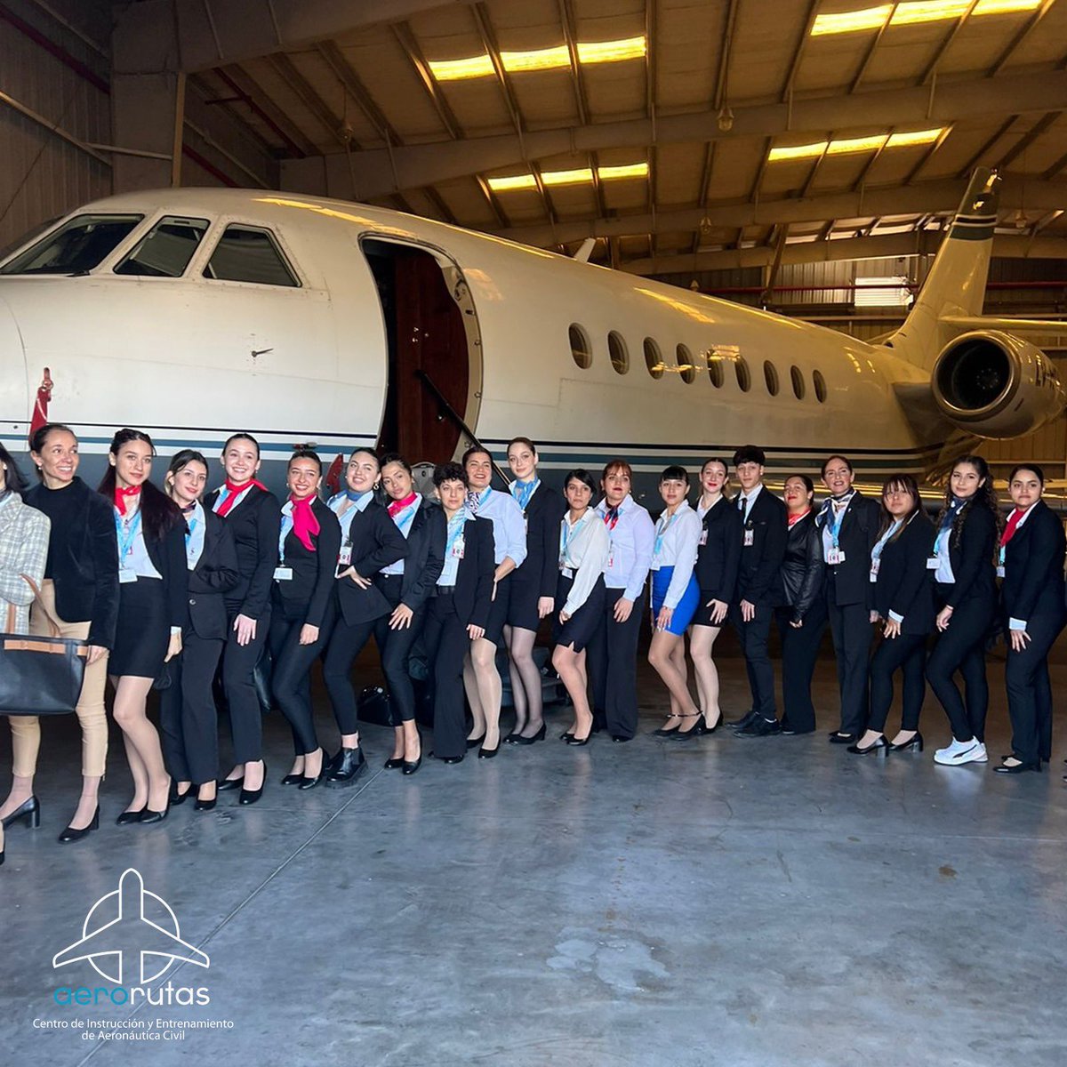 FlySafeGroup's tweet image. TCP 💬 𝗖𝗵𝗮𝗿𝗹𝗮 𝗜𝗻𝗳𝗼𝗿𝗺𝗮𝘁𝗶𝘃𝗮
Recibimos a @cedeba_ar en @AerorutasCIAC para brindarles una charla informativa sobre la carrera de 𝗧𝗿𝗶𝗽𝘂𝗹𝗮𝗻𝘁𝗲𝘀 𝗱𝗲 𝗖𝗮𝗯𝗶𝗻𝗮 𝗱𝗲 𝗣𝗮𝘀𝗮𝗷𝗲𝗿𝗼𝘀 en la aviación ejecutiva. ✈️