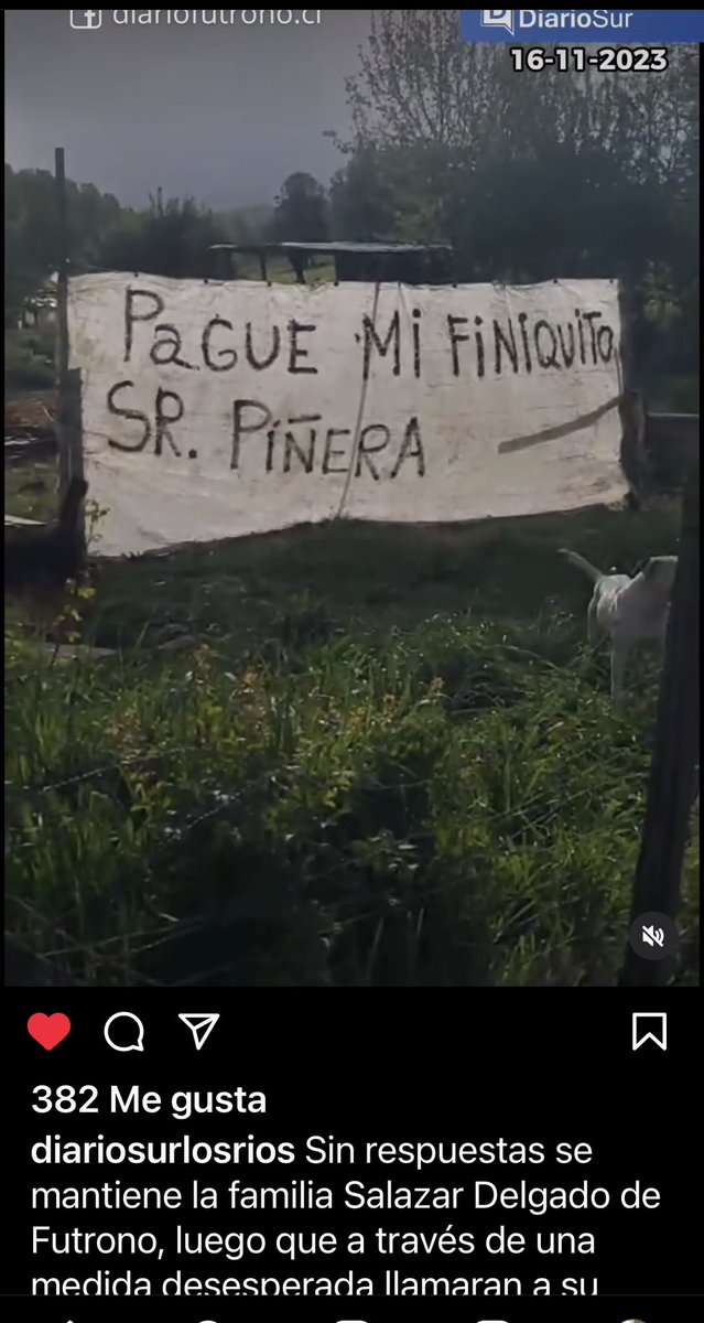 ProgramaNTN's tweet photo. Oye @sebastianpinera , te andan buscando en futrono.

@El_Ciudadano @delosquesobran 
@Cooperativa 
@biobio 

https://t.co/e2aGxCe4KV https://t.co/IhfdIVeXgI