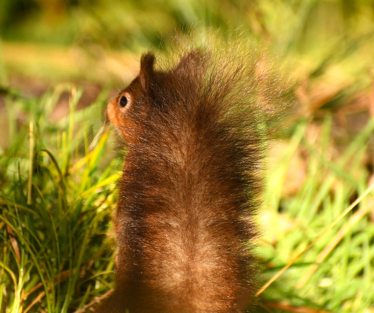 SUNSET VIEW HOLIDAY COTTAGE (@bidebermill) on Twitter photo 