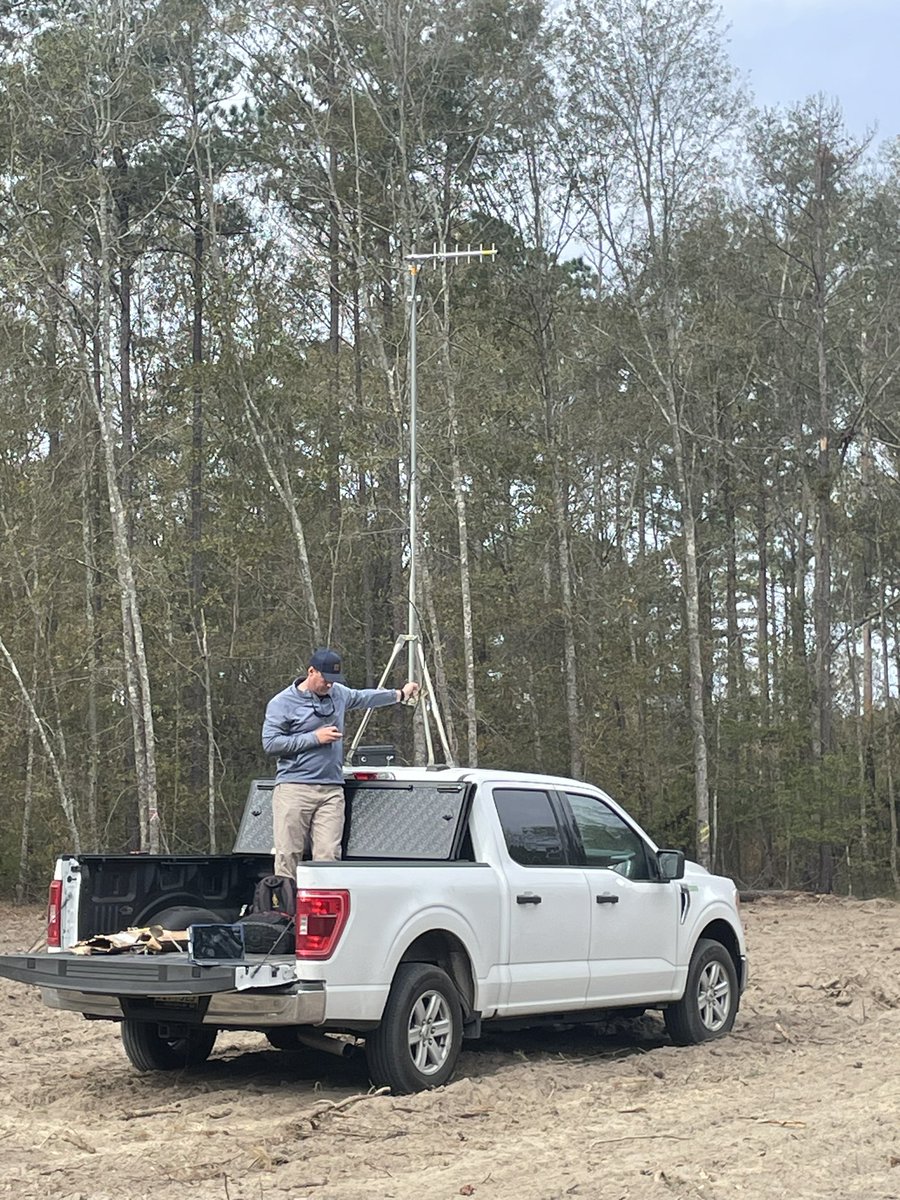 Doug Bradshaw tweet media