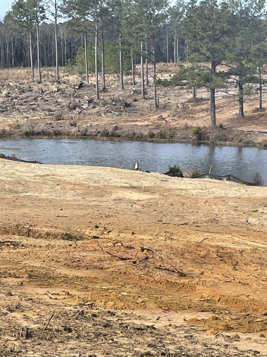 Doug Bradshaw tweet media