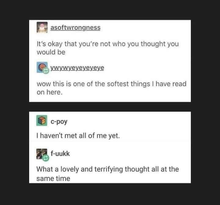 TalkBigNotSmall's tweet photo. Really stop and take this in for a minute, if you can.

Via @cheerfulnihilism https://t.co/xom1my3l1c