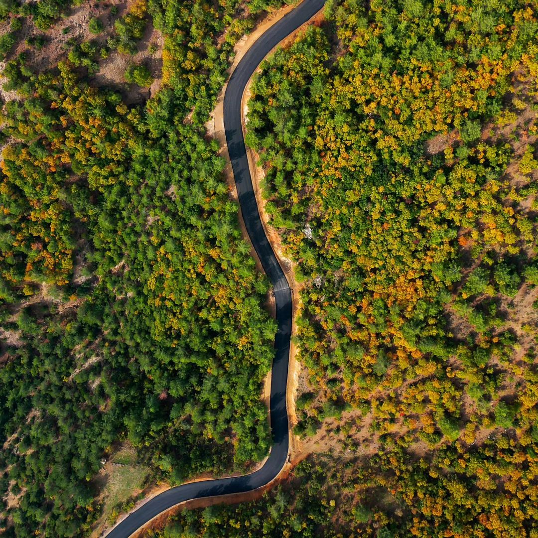 thisishatay's tweet photo. H🌲SS🌲

📸 @burhan__ates
#thisishatay
#türkiye #turkey #hatay #antakya #iskenderun #arsuz #belen #dörtyol #samandağ #defne #kırıkhan #reyhanlı #altınözü #hassa #erzin #payas #yayladağı #kumlu #antioch #showmeturkey #comeseeturkey #yourshotphotographer #anadoludabiryer #trees https://t.co/0cyPOWlGaM