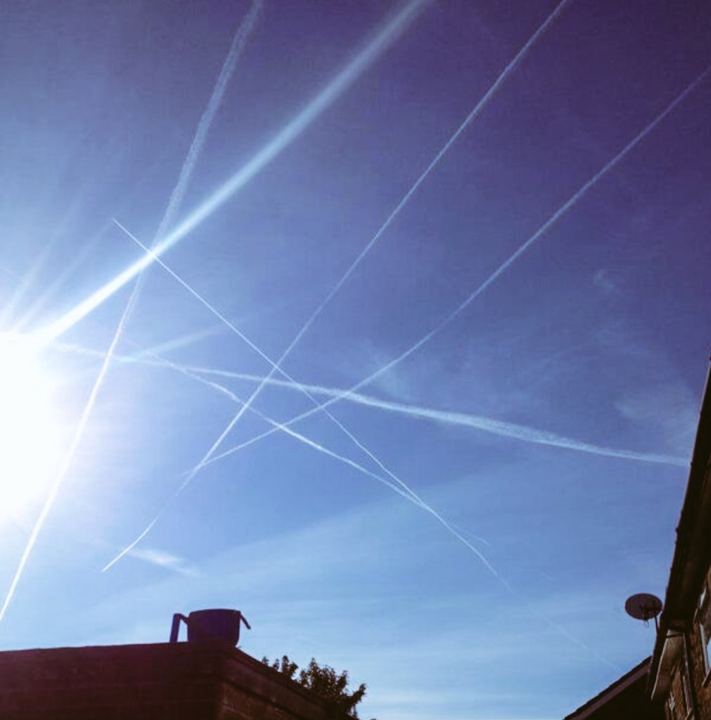 Savy 🇨🇦 tweet media