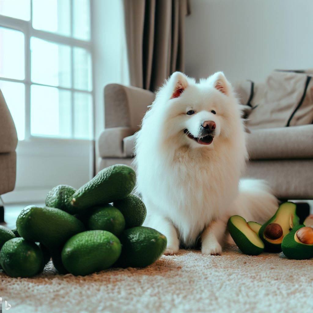 Sea_marmot's tweet photo. @guac_gg and @samoyedcoin are on fire 🔥  🚀   Next stop, to the moon ! https://t.co/r6eDCCqJgS