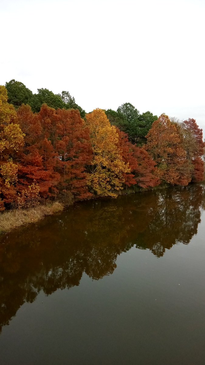ShanniLilbit70's tweet photo. Nothing like being out in nature. #TwoRiversPark #Arkansas https://t.co/phDM5av3yq