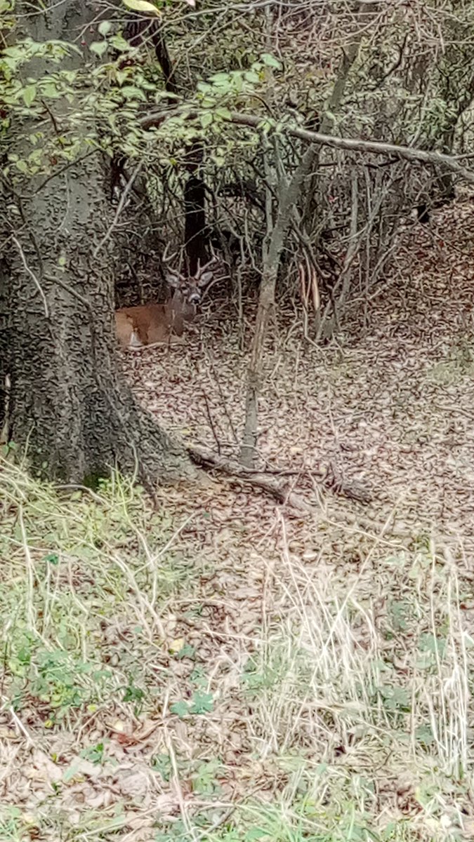 ShanniLilbit70's tweet photo. Nothing like being out in nature. #TwoRiversPark #Arkansas https://t.co/phDM5av3yq