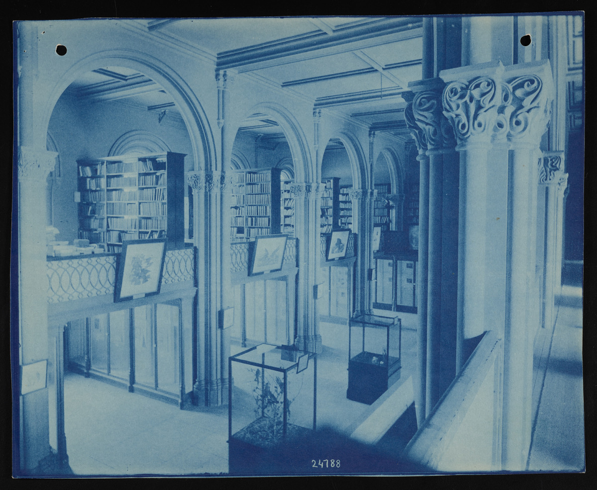 In our daydreams, we are here. This 1912 photo provides a peek into the Smithsonian Castle's library stacks and museum displays. Today we are a network of 21 specialized research libraries that span a range of topics from aerospace to zoology. Photo from @SmithsonianArch