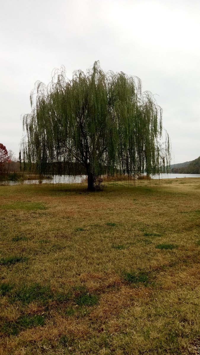 ShanniLilbit70's tweet photo. Nothing like being out in nature. #TwoRiversPark #Arkansas https://t.co/phDM5av3yq