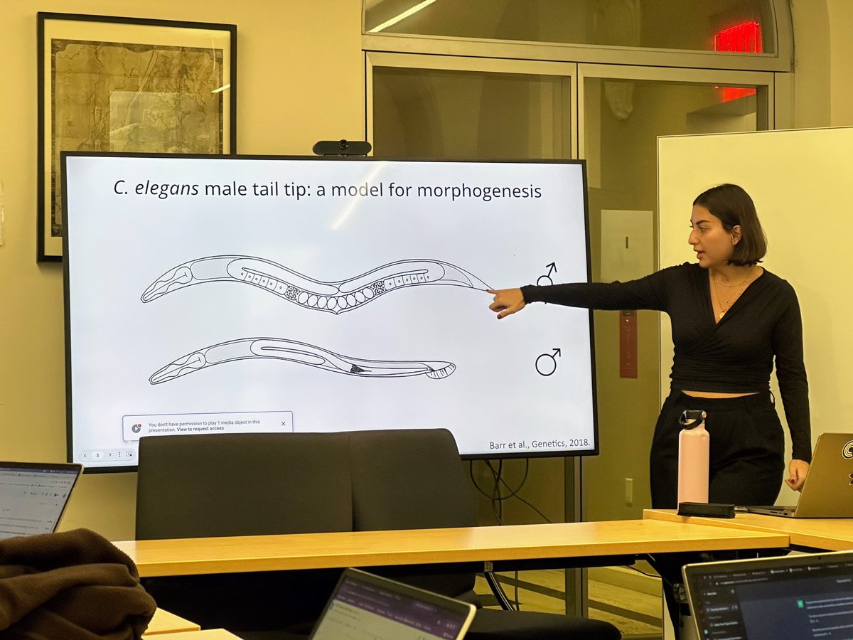 NYU Center for Data Science (@nyudatascience) on Twitter photo Exploring the secrets of sexual dimorphism, CDS recently hosted a captivating research session with <a href="/RayaJallad/">Raya S. Jallad</a> and Porfirio Fernandez (<a href="/MoveWithPurpose/">Porfirio Fernandez</a>) from the Fitch Lab in NYU's Department of Biology.
#datascience #biologyresearch Exploring the secrets of sexual dimorphism, CDS recently hosted a captivating research session with <a href="/RayaJallad/">Raya S. Jallad</a> and Porfirio Fernandez (<a href="/MoveWithPurpose/">Porfirio Fernandez</a>) from the Fitch Lab in NYU's Department of Biology.
#datascience #biologyresearch