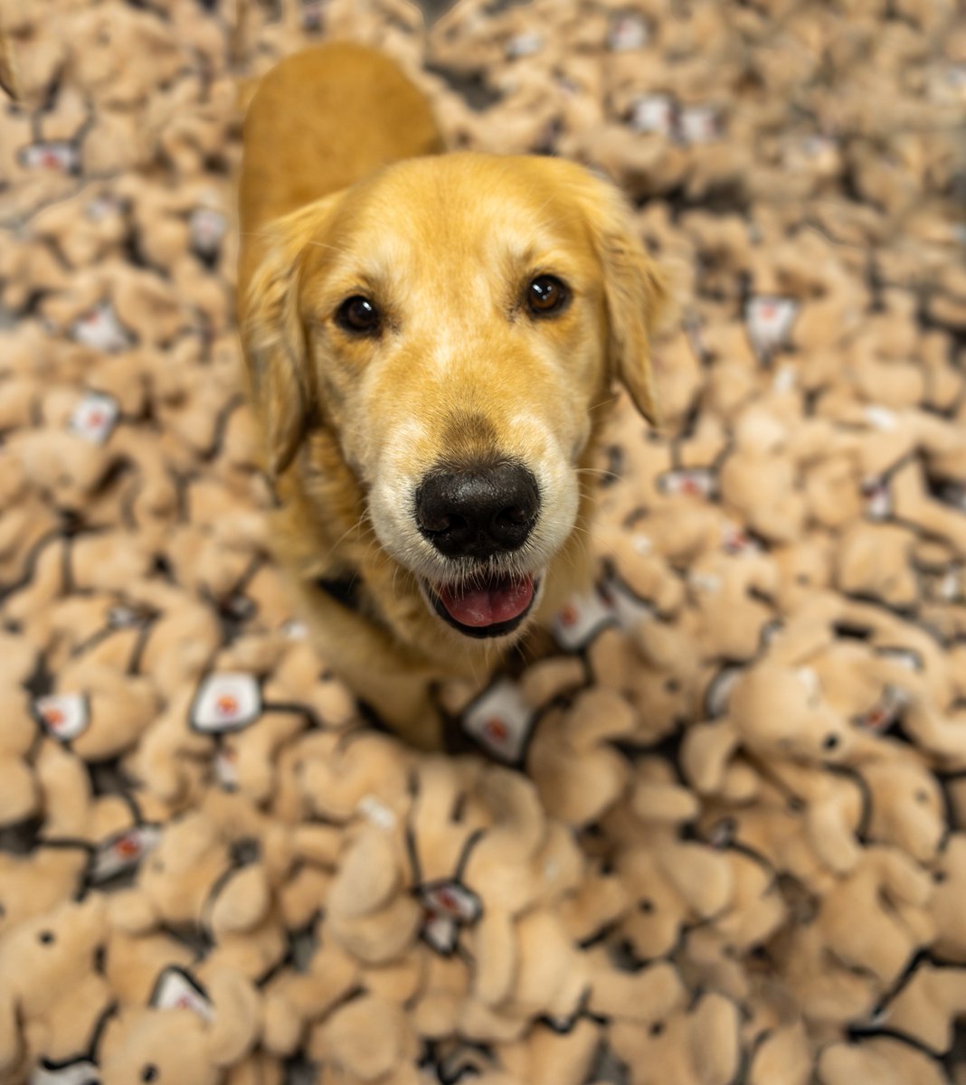 Manatee County Government Public Safety Department tweet media