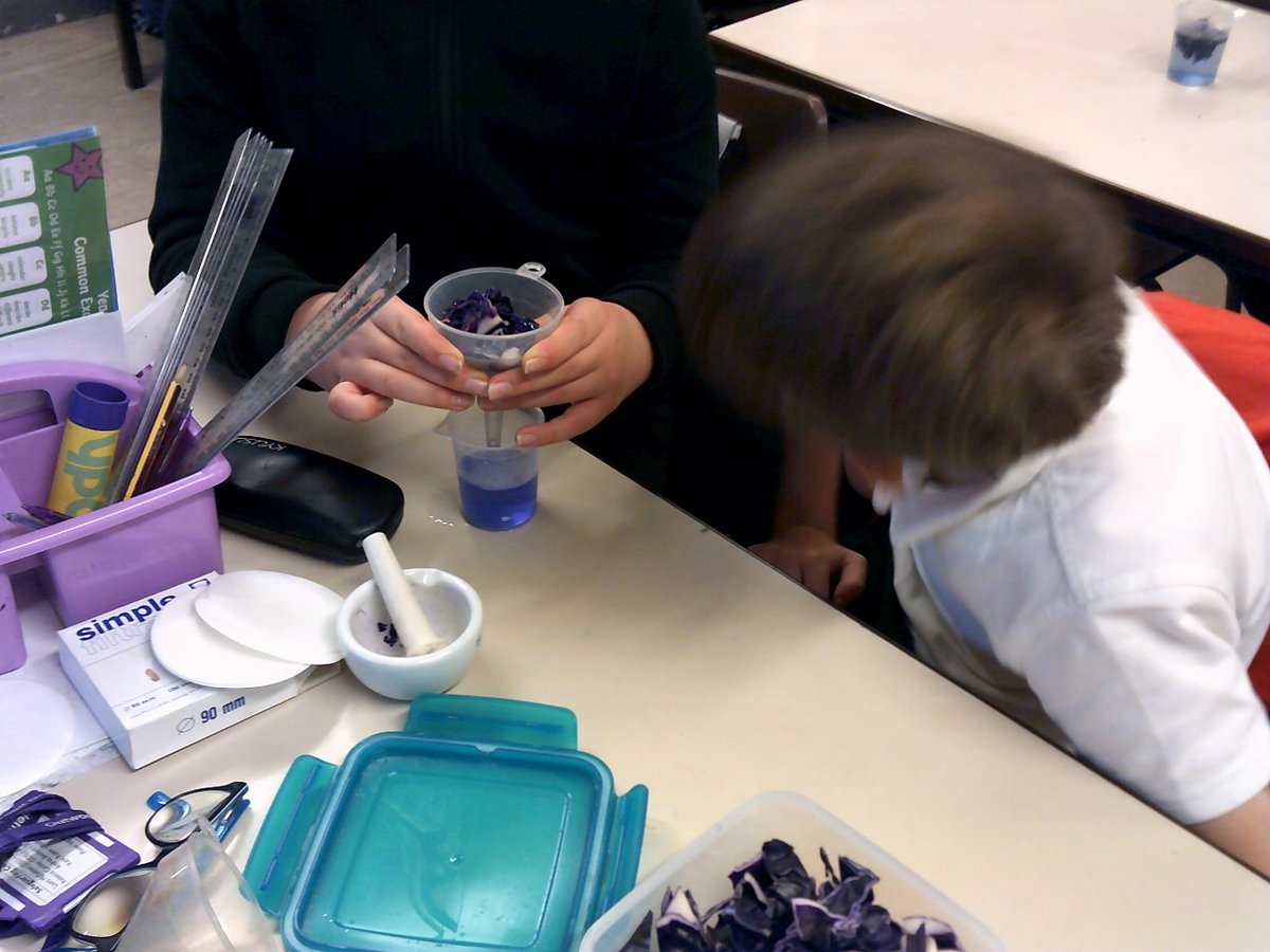 Ledger Lane Academy tweet media