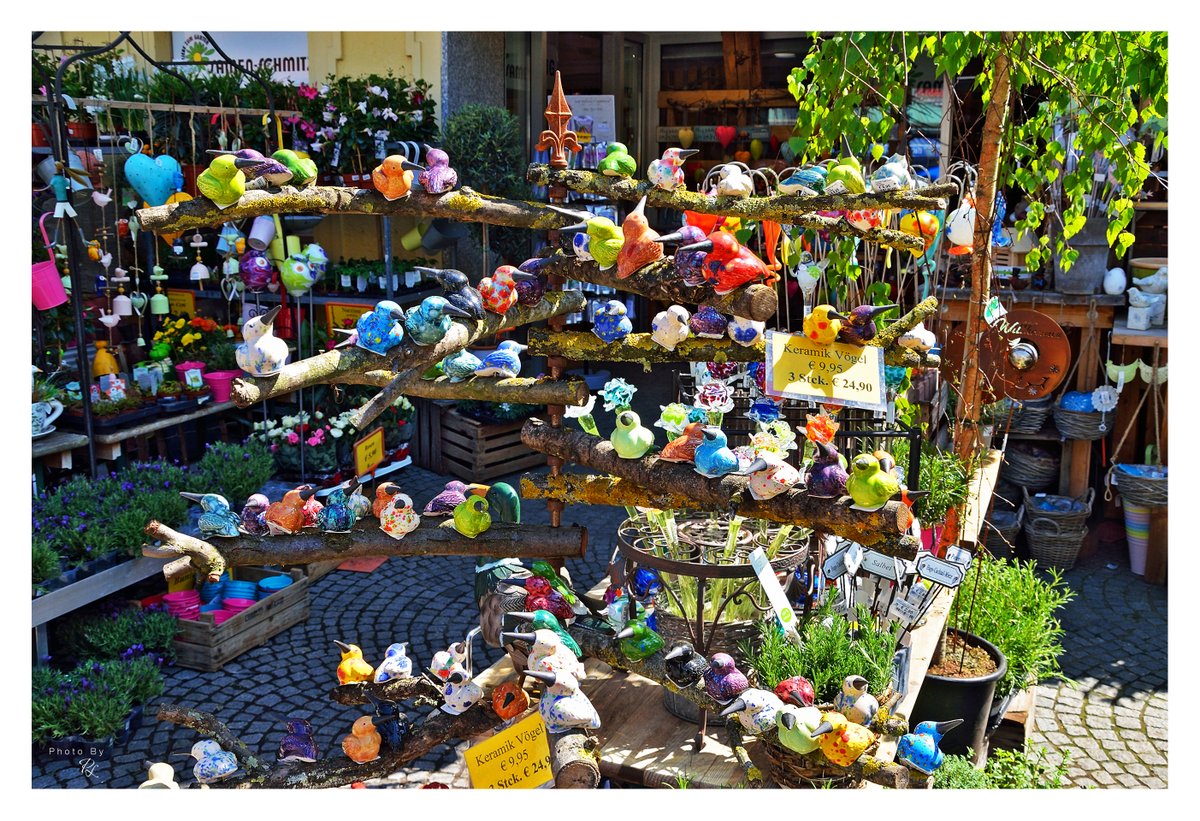 Power of Lights tweet media