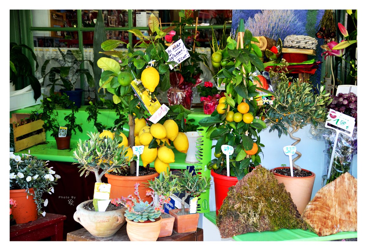 Power of Lights tweet media