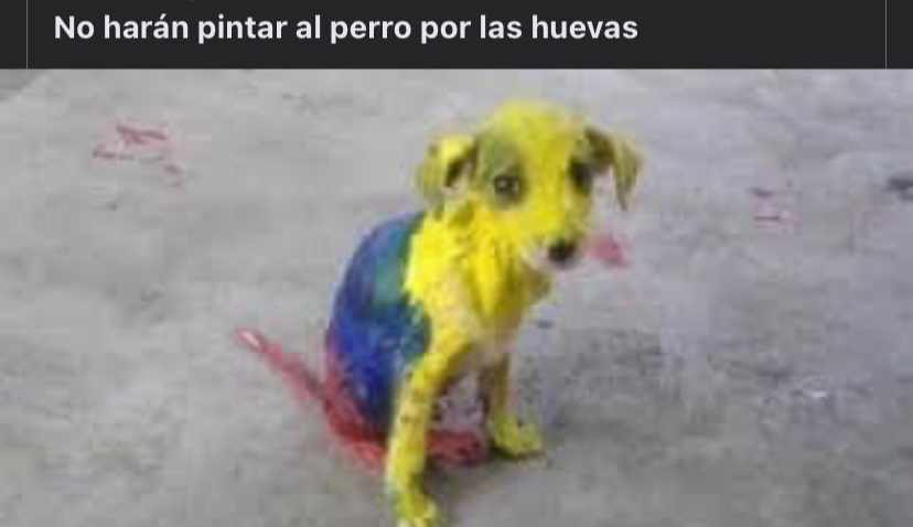 Manuelk4453's tweet photo. Hoy juega la tri, vamos 11 cocolones con patas 🤑👍 https://t.co/OtYqRxvqaf