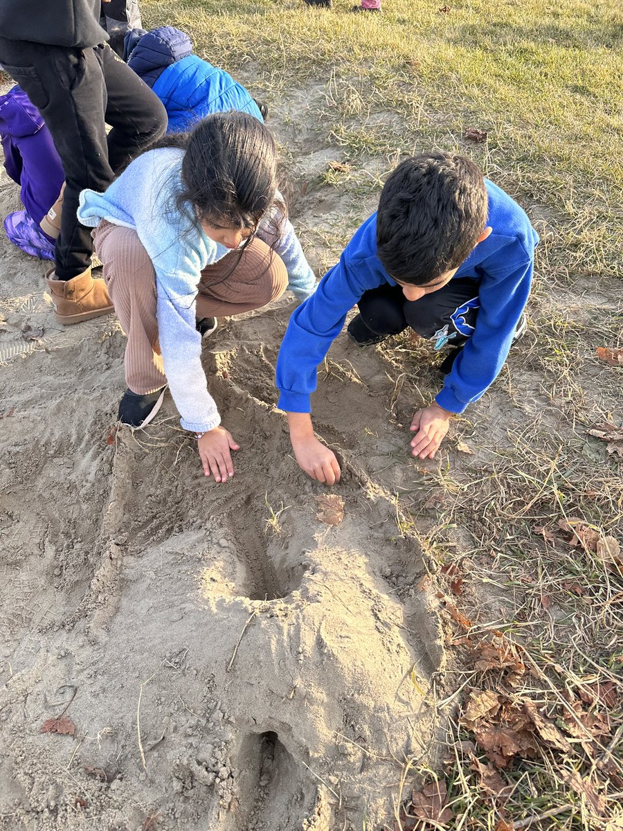 Wonderous Ones tweet media