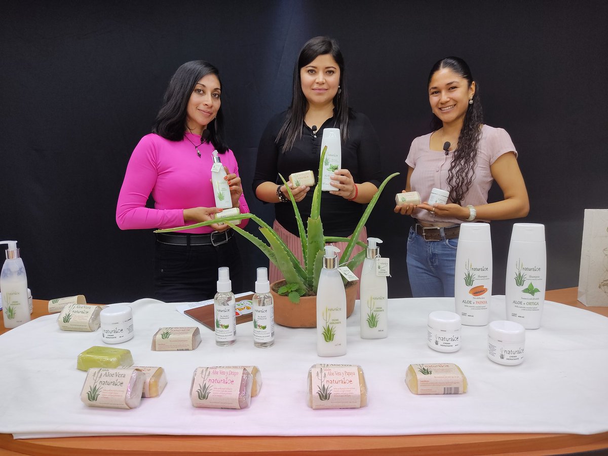 utvenlinea's tweet photo. ✓Jabones
✓Cremas
✓Shampoo
✓Antibacterial
Son productos de #Naturaloe cultivados, elaborados natural y artesanalmente por las mujeres de la comunidad #ElRosal #GarciaMoreno #Cotacachi
Crean alternativas económicas y sostenibles a largo plazo.
#CeliaSevilla
#LilianaVaca https://t.co/EmdQjVZQMD
