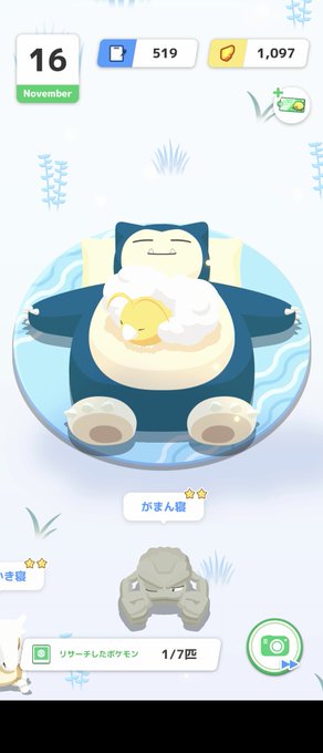 色違いチルットが腹の上に居ると黄金の卵があるように見えるね 