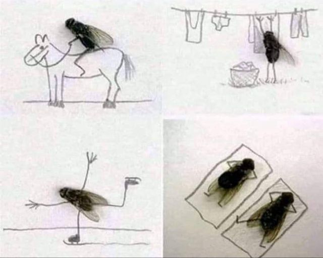 RoisFlaen's tweet photo. The creativity of some people has no limits...🤣👍👏 https://t.co/v5r5iibvJF
