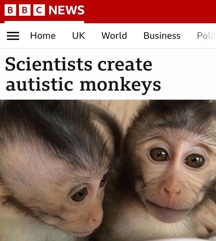 No Context Brits tweet media