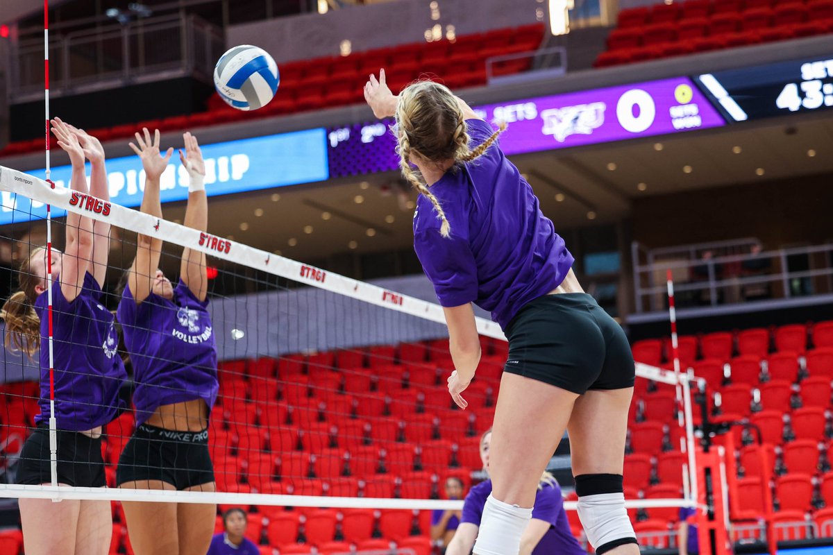 MetroConfSports's tweet photo. Purple Eagles ready for takeoff 🦅 

#MAACVB x @NiagaraVB https://t.co/c9o8KyunZm