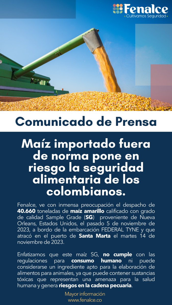 COMUNICADO DE PRENSA maíz importado fuera de norma pone en riesgo la seguridad alimentaria de los colombianos @jmojicaflorez @MinAgricultura @ICACOLOMBIA Mayor información: acortar.link/FENALCE-INFORMA