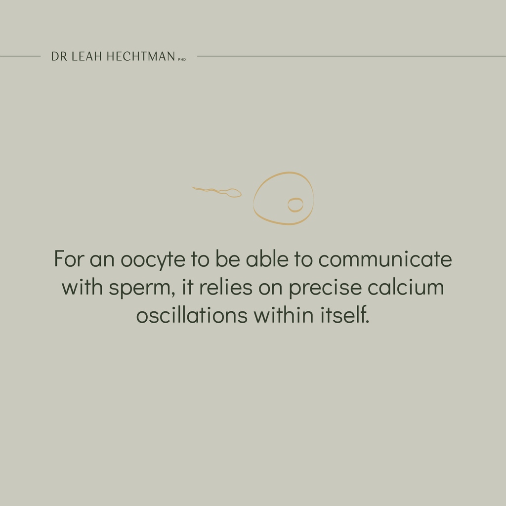 Dr Leah Hechtman (PhD) tweet media