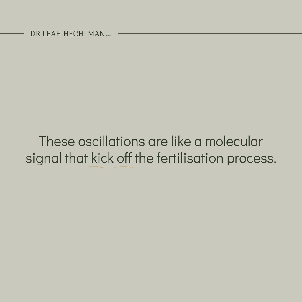 Dr Leah Hechtman (PhD) tweet media