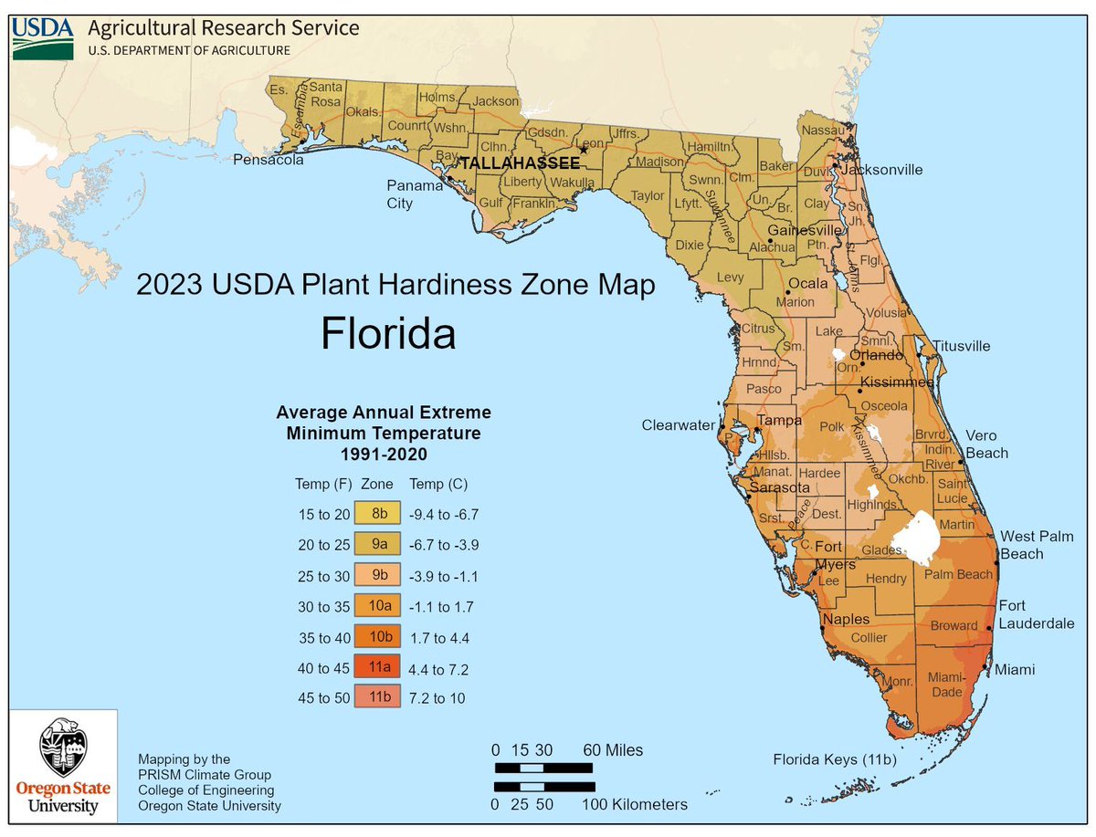 Big gardening news! The 2023 USDA Plant Hardiness Zone Map has been released. The @USDA_ARS reevaluates the zones every ten years and there are significant changes. Read more about the update from @manatee_ufifas on UF/IFAS Blogs: blogs.ifas.ufl.edu/manateeco/2023…