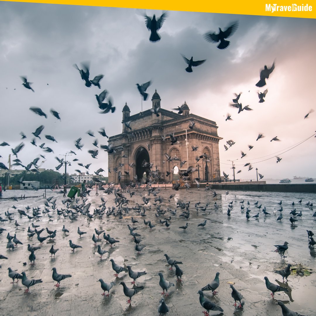 MyTGofficial's tweet photo. Mumbai is the heart of the Indian film industry, commonly known as Bollywood. It produces more films than any other city globally.

For more travel tips, click here: https://t.co/11sAgMHlYf
 
#india #bombay #travelmumbai #travelindia #mytravelguide #wanderlust #explore #adventure https://t.co/sOqth01PmS