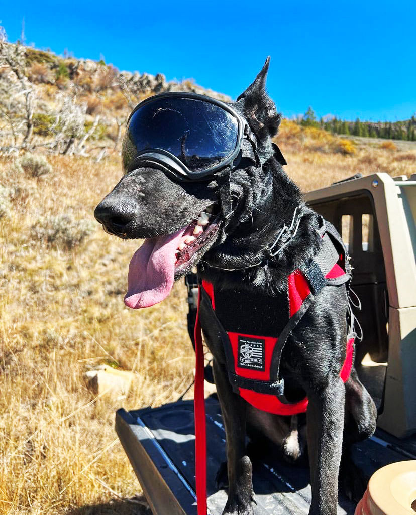 Nomad Ski Patrol Harness™

When conditions call for durability and comfort, trust Ray Allen to protect your partner from rugged terrain and frigid temperatures.

Shop Now: rayallen.com/nomad-ski-patr…