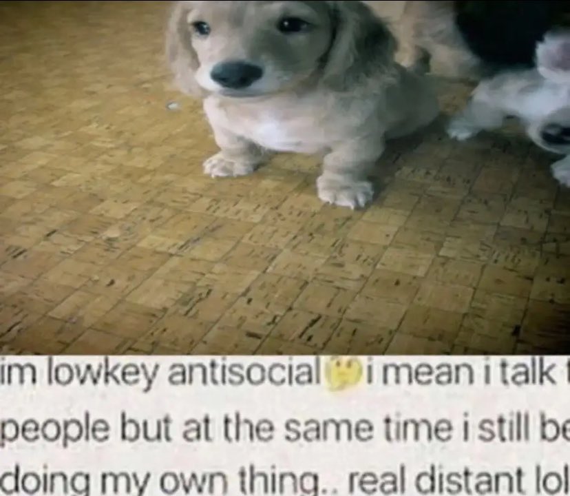 acc closing tweet media