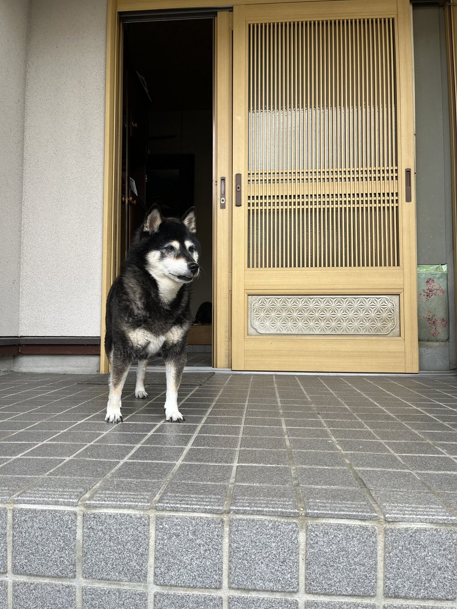 山本雅貴 tweet media
