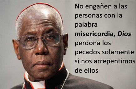 SantosIglesia's tweet photo. Cardenal Robert Sarah,
 
    https://t.co/93j7awIZrZ
