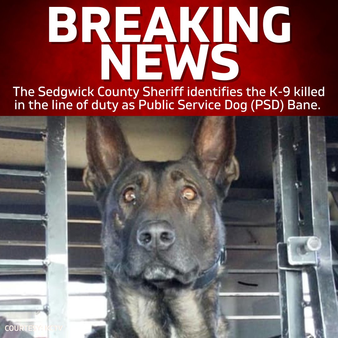 Rest in Peace, K-9 Bane. kwch.com/2023/11/16/wic… #kwch12