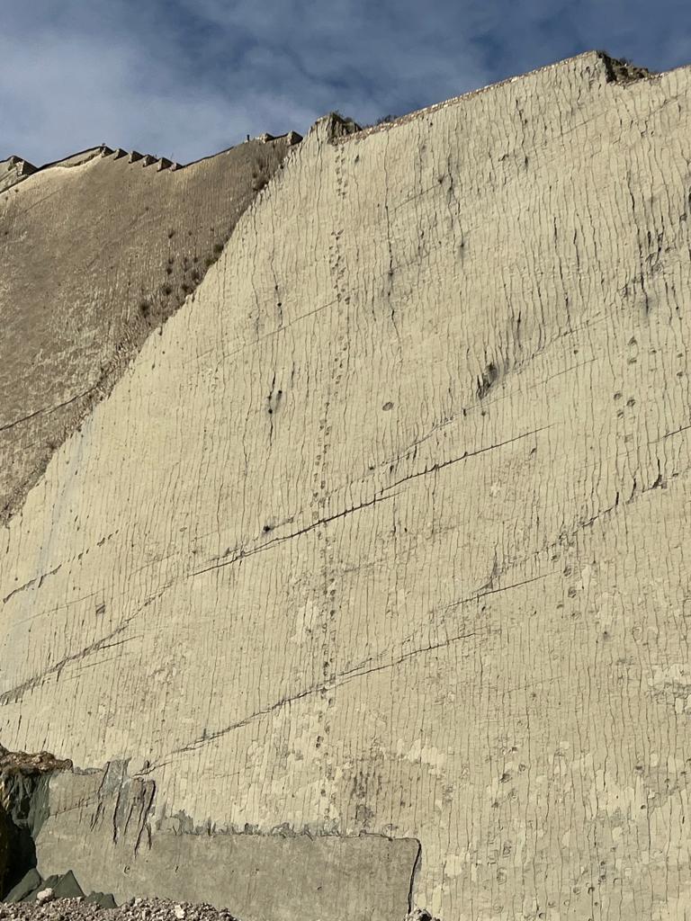 julia_johannsen's tweet photo. Sabían que el Parque Cretácico en Sucre, #Bolivia es el hogar de más de 12 mil huellas de dinosaurio? 
Es el lugar que conserva el mayor número de huellas en el mundo! Y la línea continua de huellas (de 622 metros) más larga del mundo. https://t.co/FMDRvjopsV