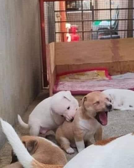 twaniimals's tweet image. 