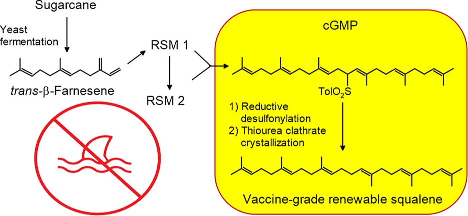 No sharks! Semi-synthetic vaccine-grade squalene from renewable sugarcane. Farnesene feedstock from fermentation, semi-synthesis to monograph compliant squalene, in vivo comparable to shark squalene. All in <a href="/OPRD_ACS/">Organic Process Research & Development</a>

pubs.acs.org/doi/10.1021/ac…