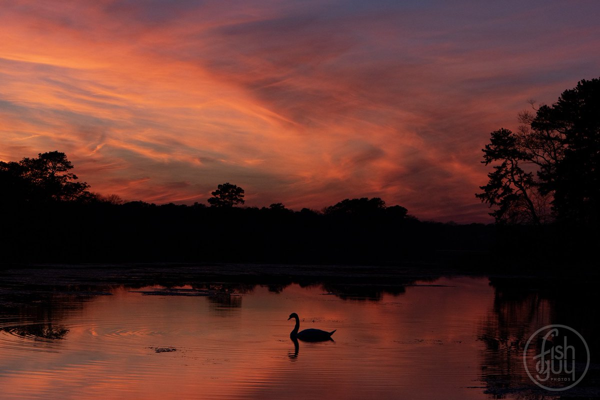 fishguyphotos's tweet image. Tonight's #sunset on the Peconic River. Calverton, NY