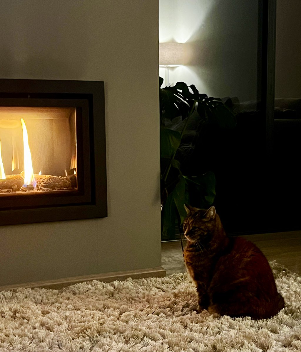 Retep Retals tweet media