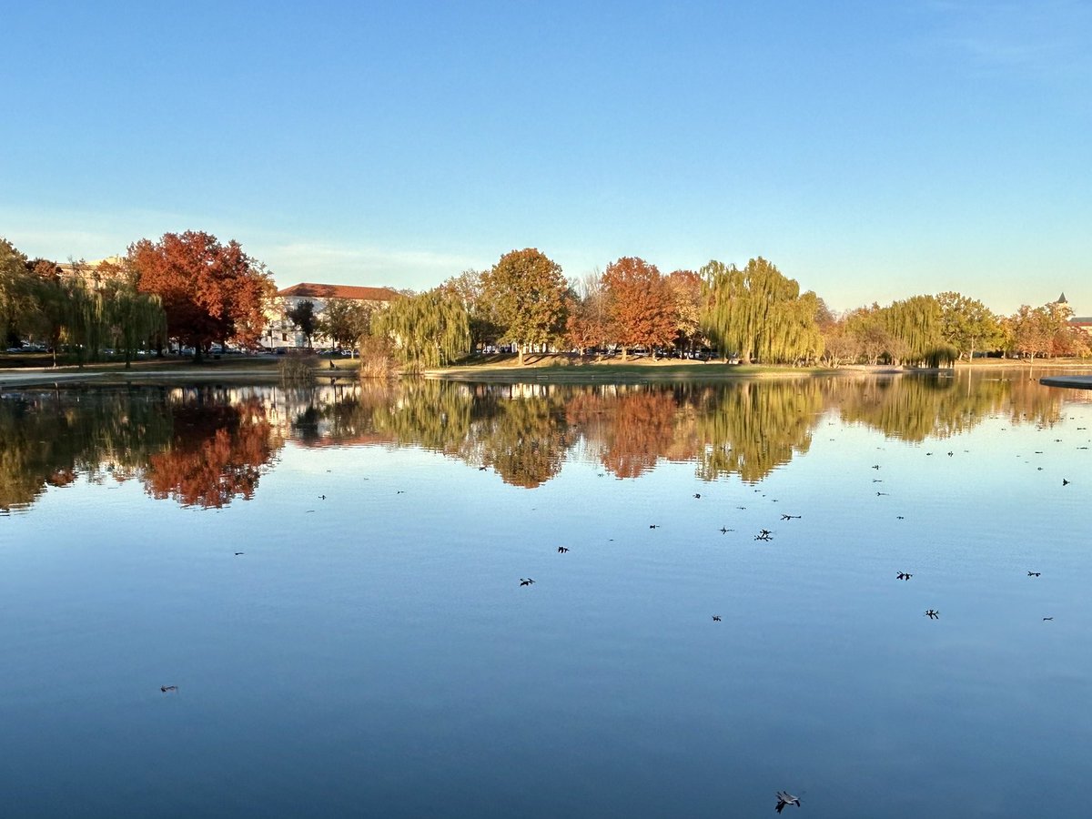 #bus1 walking to the Vietnam Memorial <a href="/ClaggettMCS/">Claggett MCS</a> <a href="/MrCondit/">Brian Condit</a>
